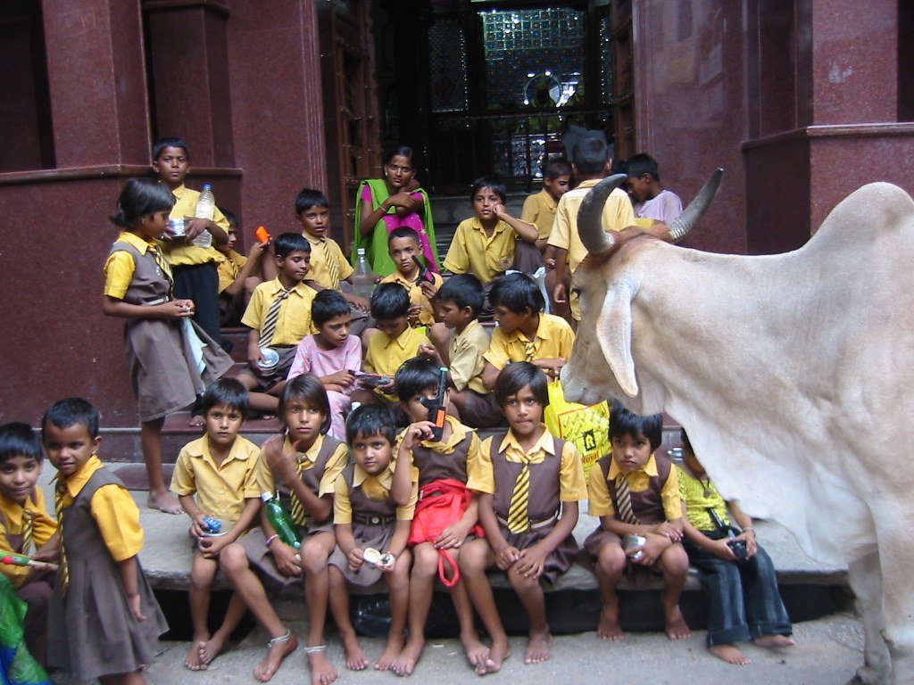 Why the IKS Curriculum Goes from Class 1 to Class 12 — And Why That Matters - Inde India ecole ecoliers enfants